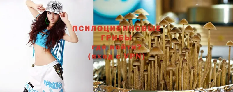 Псилоцибиновые грибы Magic Shrooms  даркнет сайт  Бугуруслан 